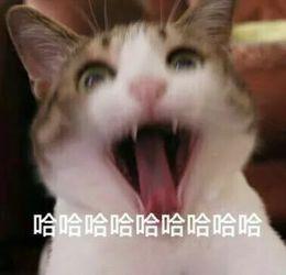 偶练2吃瓜视频,揭秘选手幕后故事与精彩瞬间