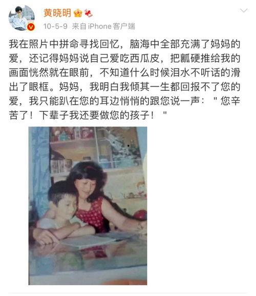 明星吃瓜故事合集视频下载,明星吃瓜故事合集视频下载全记录
