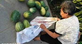 涿州最新吃瓜视频曝光,揭秘幕后真相，网友热议不断