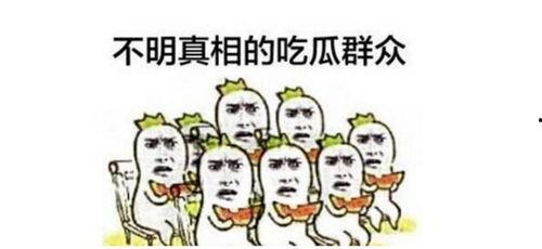 群众吃瓜视频完整,网络视频中的围观文化解析