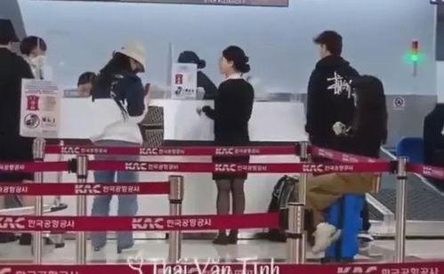 吃瓜摔倒视频在线观看网站,在线观看网站大盘点