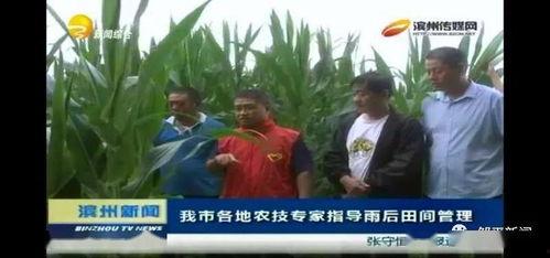 邹平最新吃瓜新闻事件视频,视频揭秘惊人真相