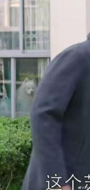 老大爷吃瓜怎么吃视频